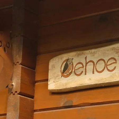 Σπίτι διακοπών Rust En In Ons Vrijstaande Fins Epe