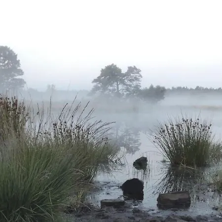Rust En In Ons Vrijstaande Fins Σπίτι διακοπών