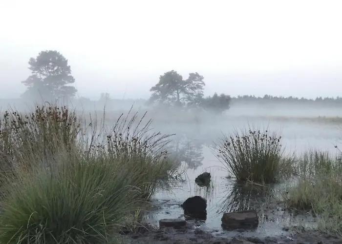 Rust En In Ons Vrijstaande Fins Σπίτι διακοπών