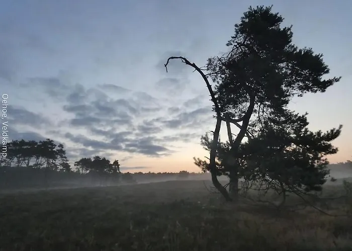 Holiday home Rust En In Ons Vrijstaande Fins