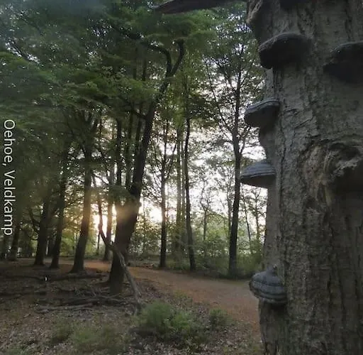 Holiday home Rust En In Ons Vrijstaande Fins Epe